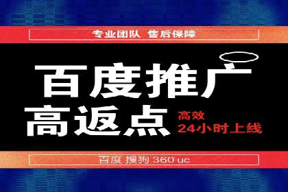 百度推广运营案例精选：揭秘成功之道